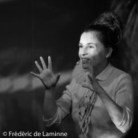 Pauline Brisy lors du Spectacle la Boite à images qui s’est déroulé à Rochefort (Square de l’amicale) le 04/02/2016.