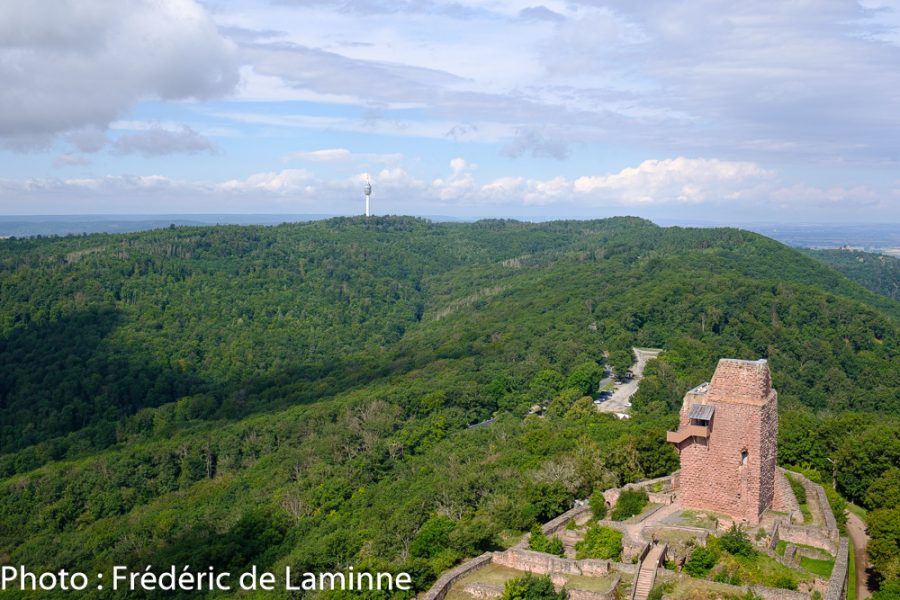 La vue depuis le haut du Kyffhäuser avec au fond, la tour TV près de laquelle j'ai passé la nuit.