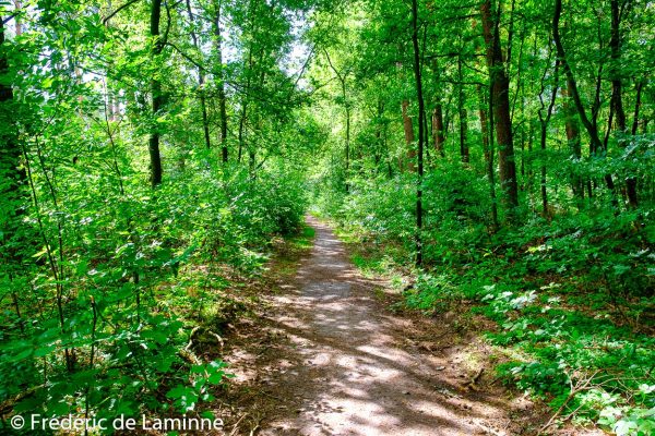  randonue du Undeloh Naturistenweg